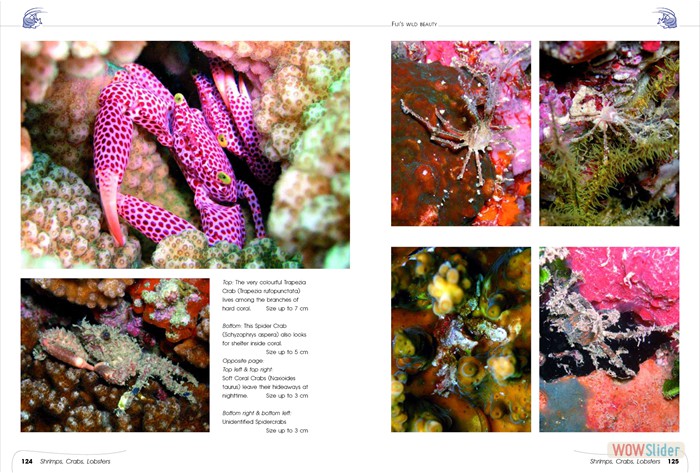 FijisWildBeauty_sites10