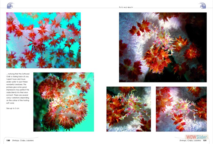 FijisWildBeauty_sites11