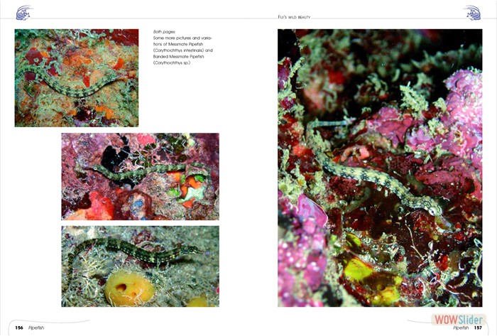 FijisWildBeauty_sites12