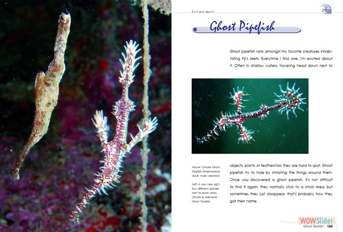 FijisWildBeauty_sites13