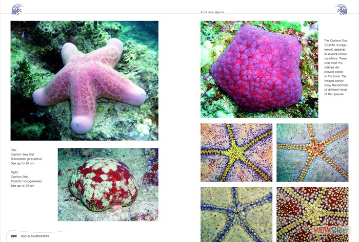 FijisWildBeauty_sites15