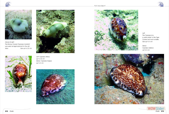 FijisWildBeauty_sites16