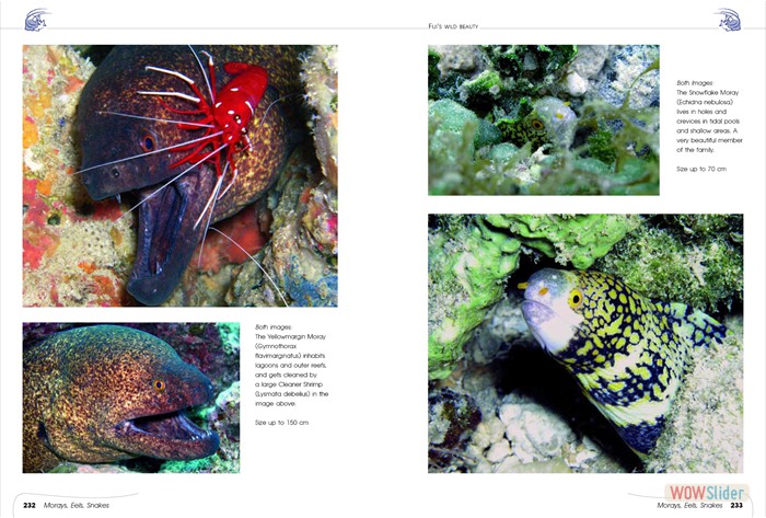 FijisWildBeauty_sites17