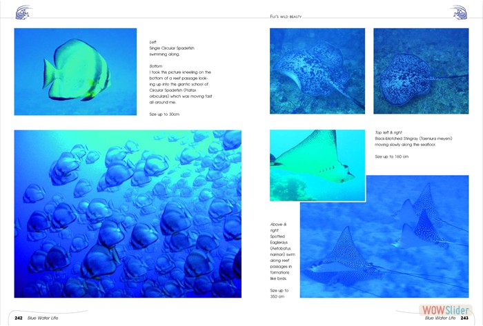 FijisWildBeauty_sites18