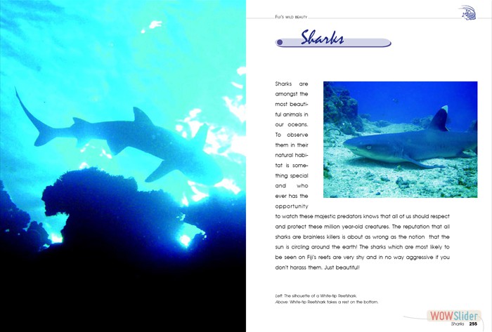 FijisWildBeauty_sites19