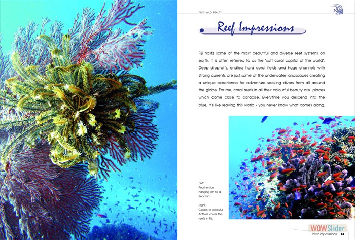 FijisWildBeauty_sites2