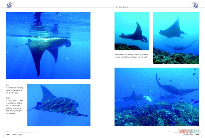 FijisWildBeauty_sites20