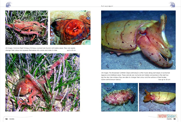 FijisWildBeauty_sites5