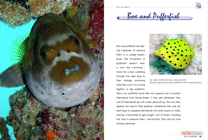 FijisWildBeauty_sites6