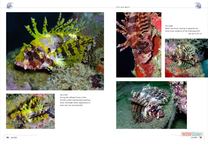 FijisWildBeauty_sites7