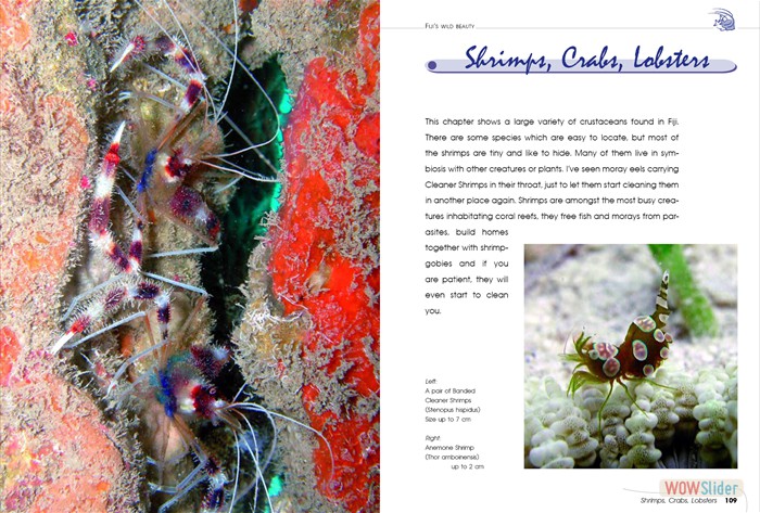 FijisWildBeauty_sites9